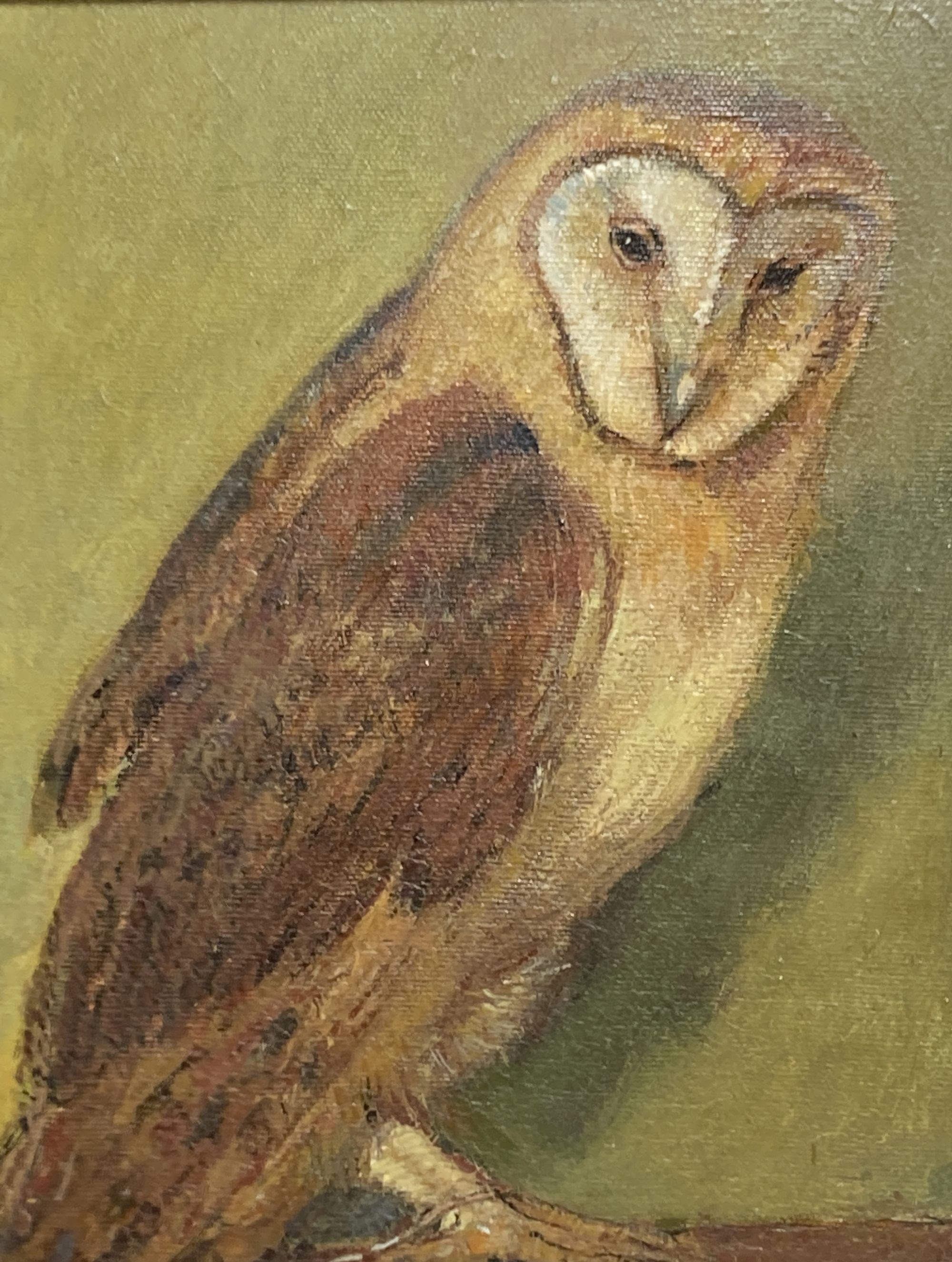 A modern oil on canvas study of a barn owl, housed in a late Victorian ebonised frame, 24 x 19cm